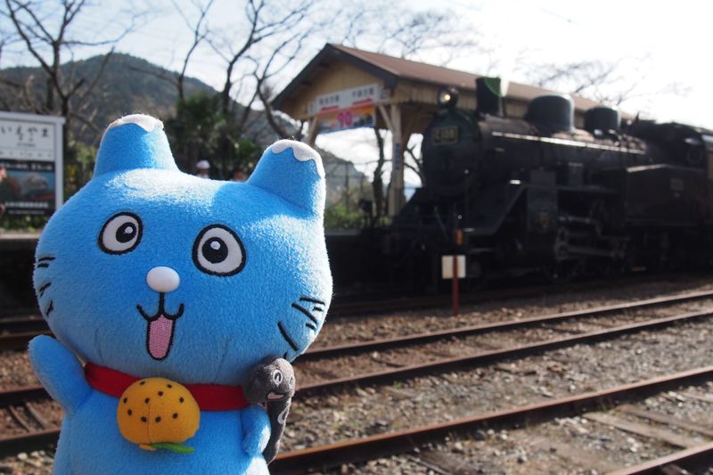 駅に戻ると伝説のSL「SLかわね路1号」が到着。大井川鐡道でも一番古い列車です。