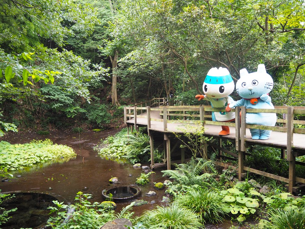 「柿田川公園」はきれいな水と自然に囲まれたリフレッシュできるスポットです。