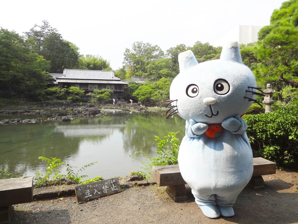 「小浜池」の奥に見える建物は静岡県指定の文化財「楽寿館」。小松宮彰仁親王の別邸として建てられました。